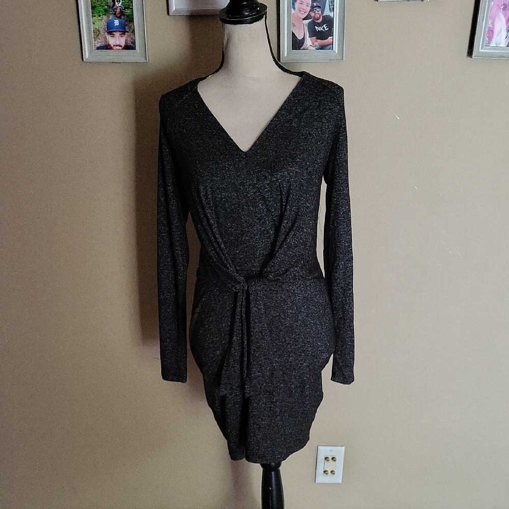 Express V-Neck Dress